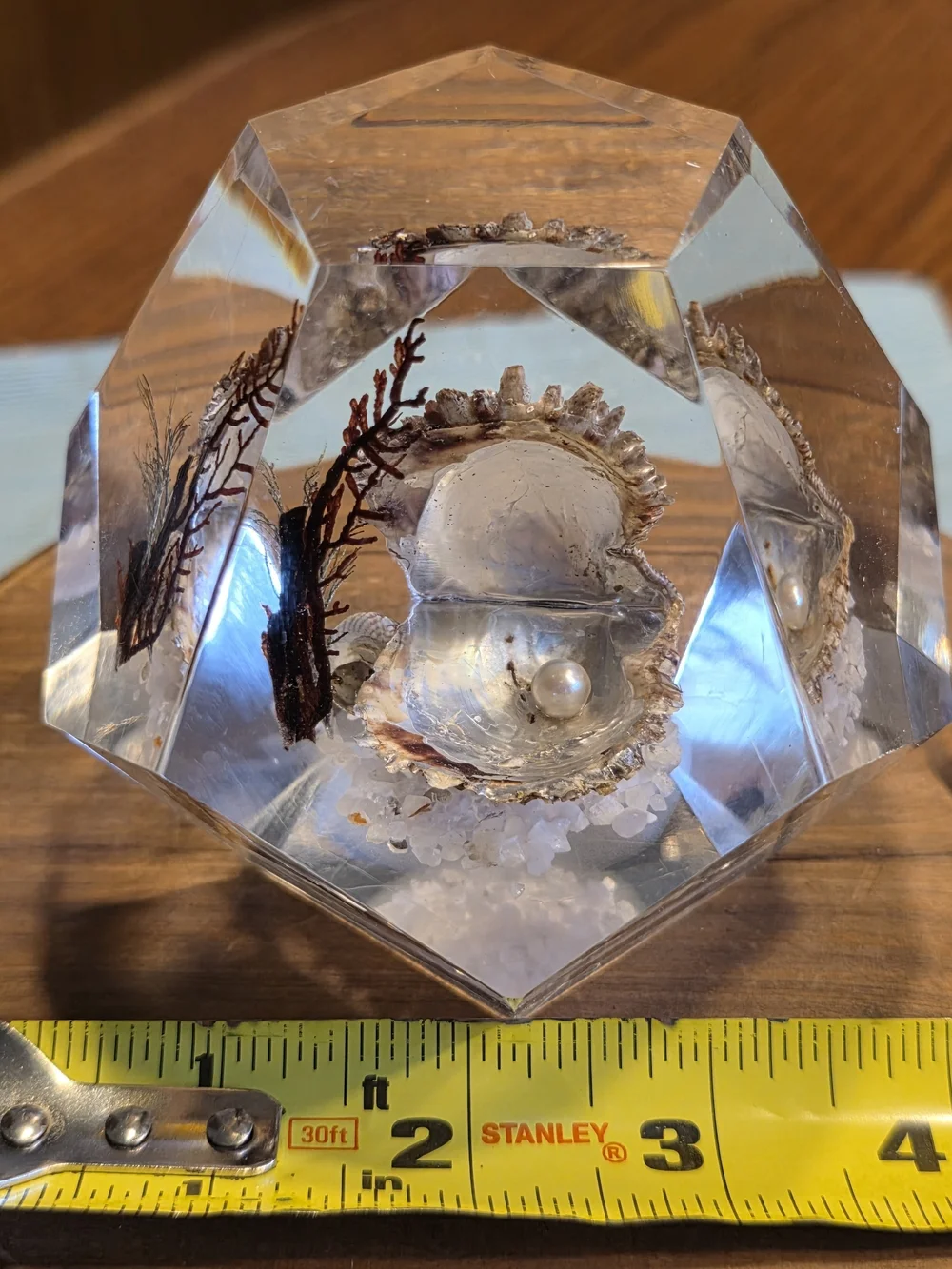 VTG Faceted Lucite Coastal Oyster Paperweight